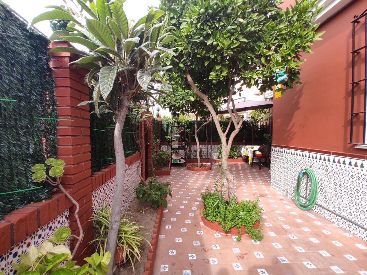 Villa Patricia Μάλαγα Εξωτερικό φωτογραφία