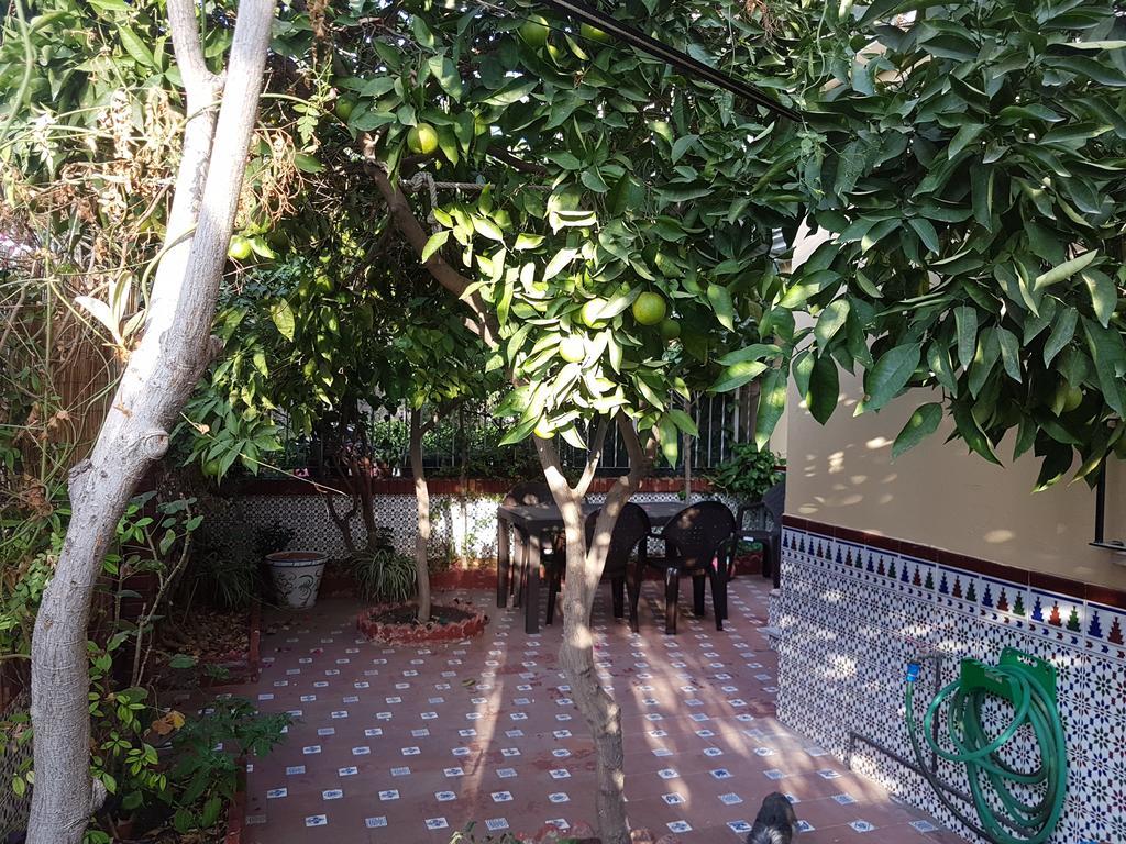 Villa Patricia Μάλαγα Εξωτερικό φωτογραφία