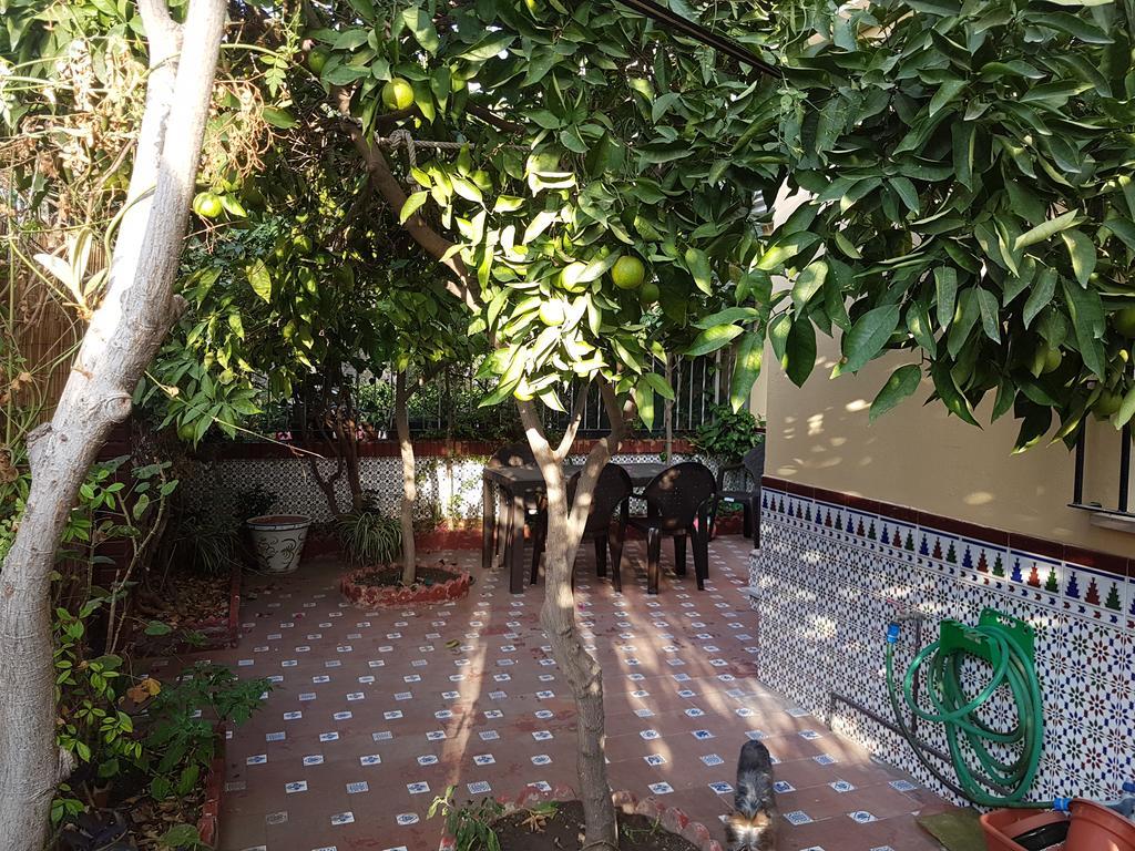 Villa Patricia Μάλαγα Εξωτερικό φωτογραφία